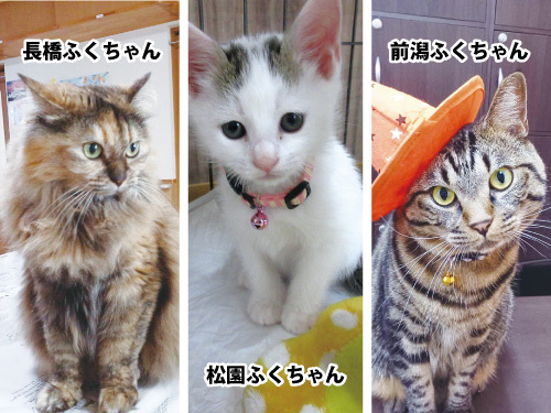 メルシー様_転職プラザ特設サイト用1