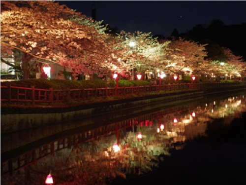 東金市役所_夜景画像