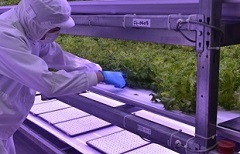 近年では農業にも参入する等、時代とともに変化するニーズに対応するため、常に変化、成長を続けております。