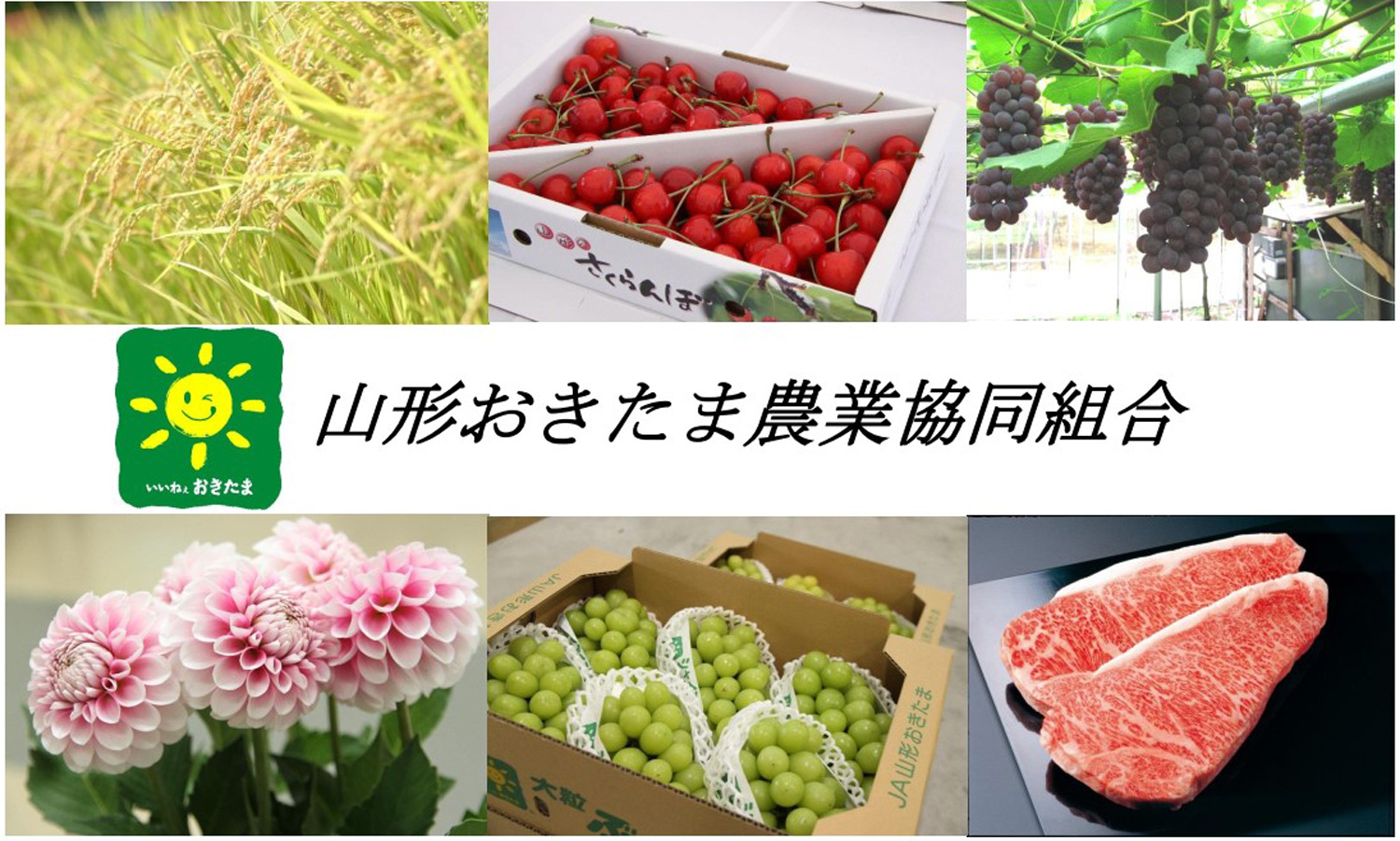 会社紹介画像