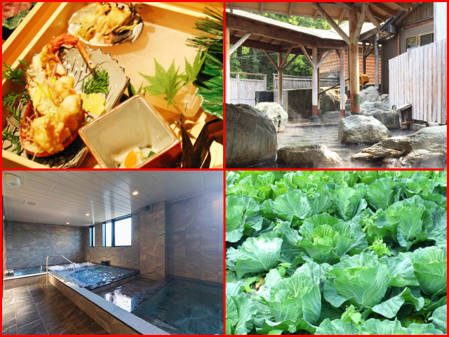 料理、温泉、スパ、野菜の写真