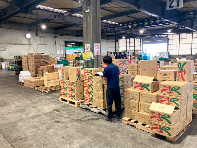 ぐんま県央青果／物流管理スタッフ写真