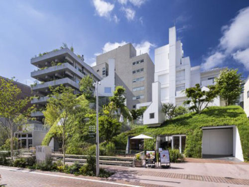 白井屋ホテル株式会社