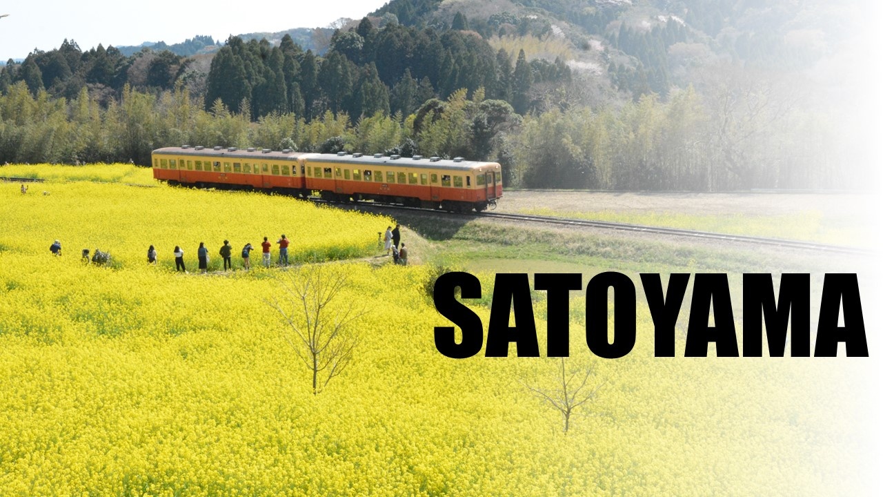 都市に近い里山のあるまち いちはら