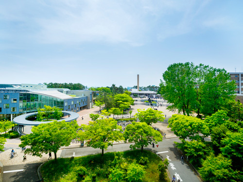 新潟大学