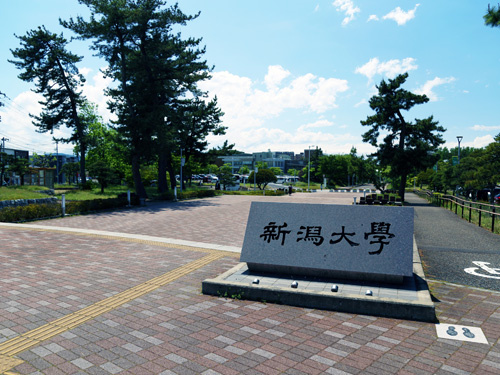新潟大学