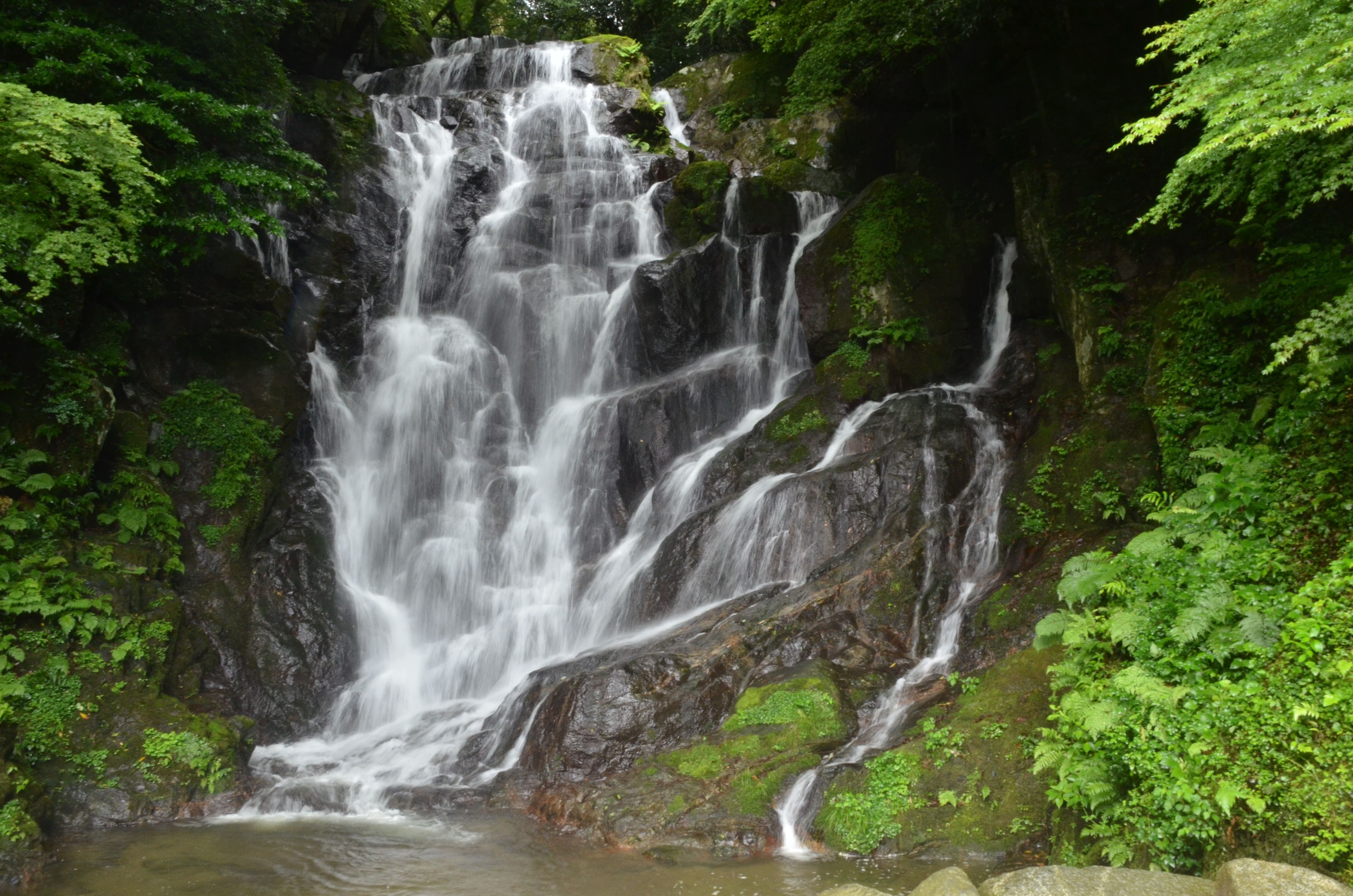 白糸の滝差し替え分(圧縮)