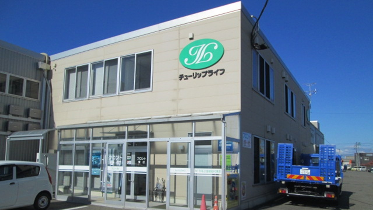 チューリップライフ②