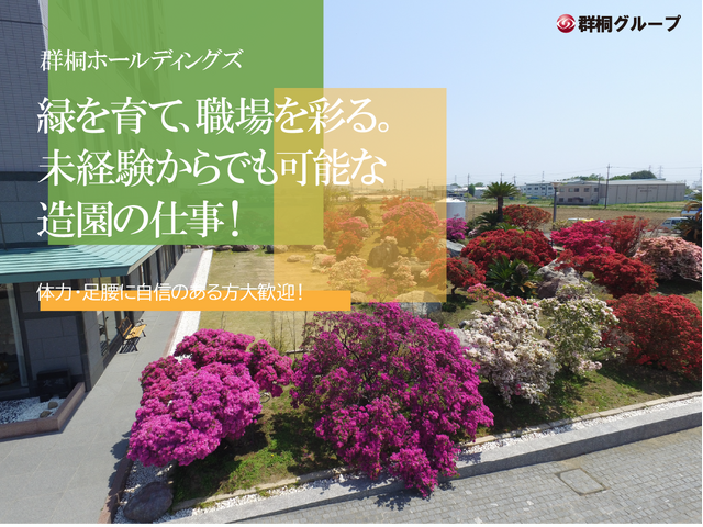写真1