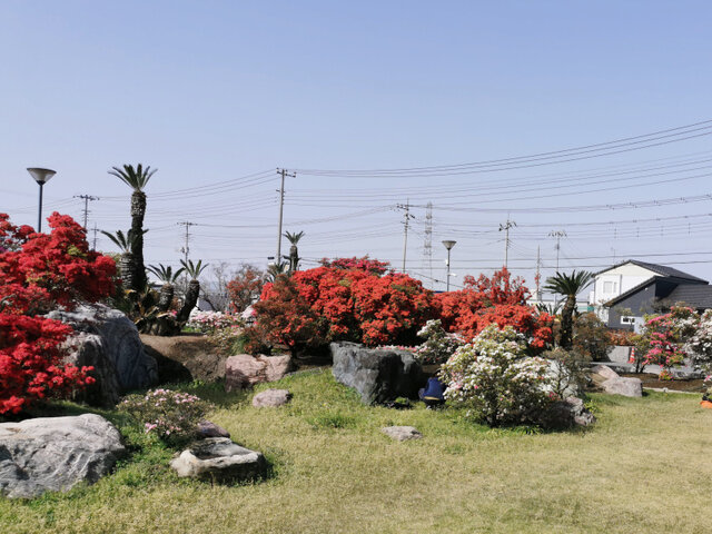 写真1
