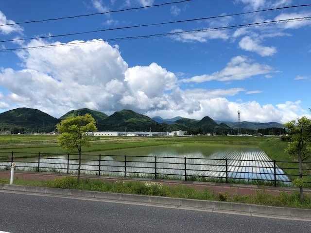写真1