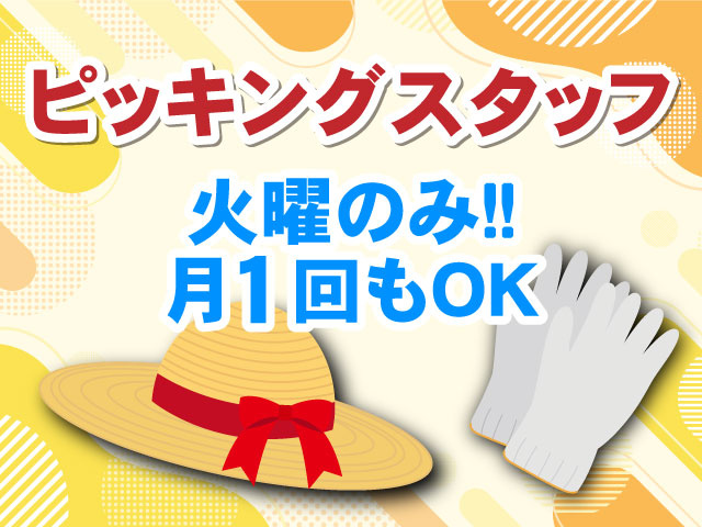 月1回もOK火曜のみ！！ピッキングスタッフ