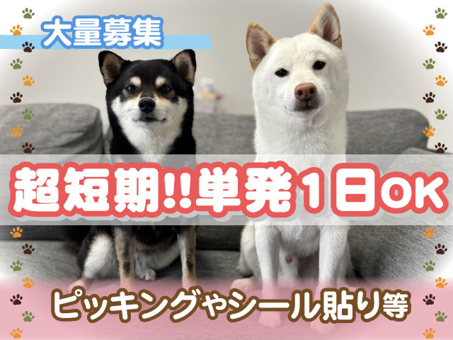 超短期！！単発1日OKピッキングやシール貼り等大量募集