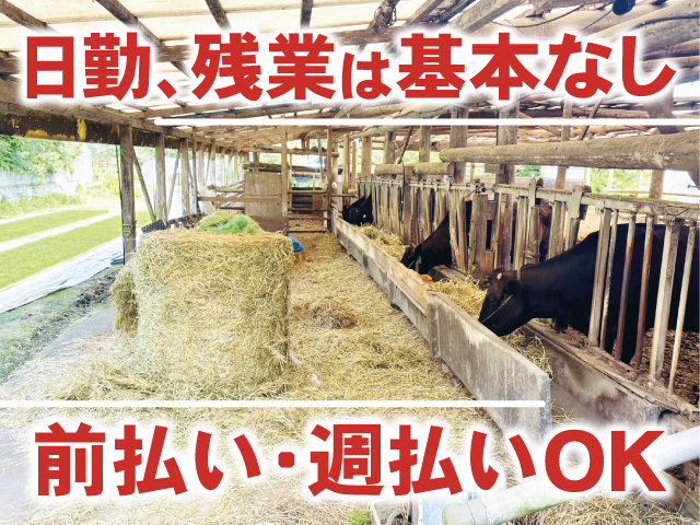 日勤、残業は基本なし、前払い・週払いOK