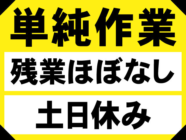 写真1