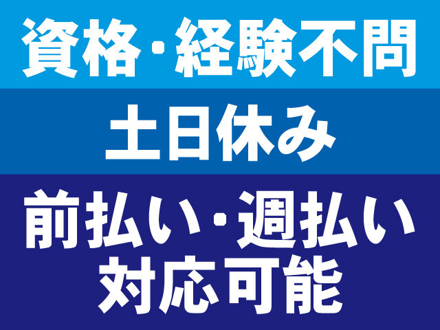 写真1