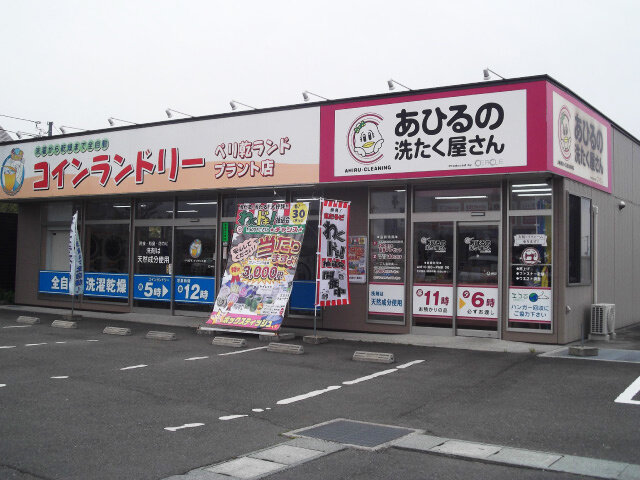 写真1