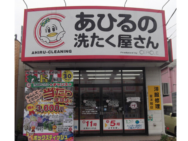 写真1