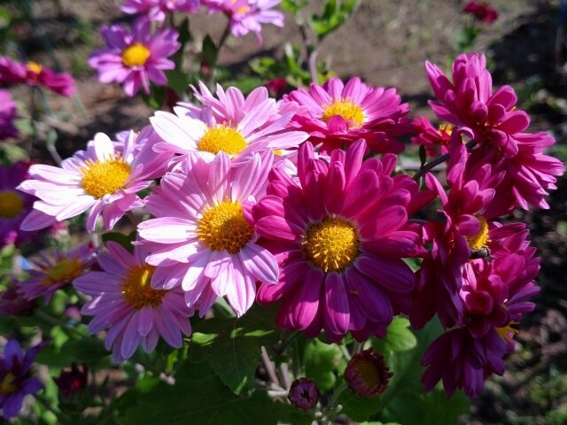 写真1