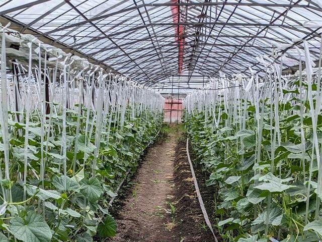 JAグループ栃木の求人情報を見る