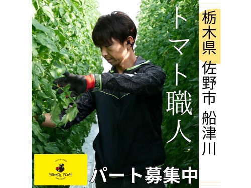 0612_トマト農家①