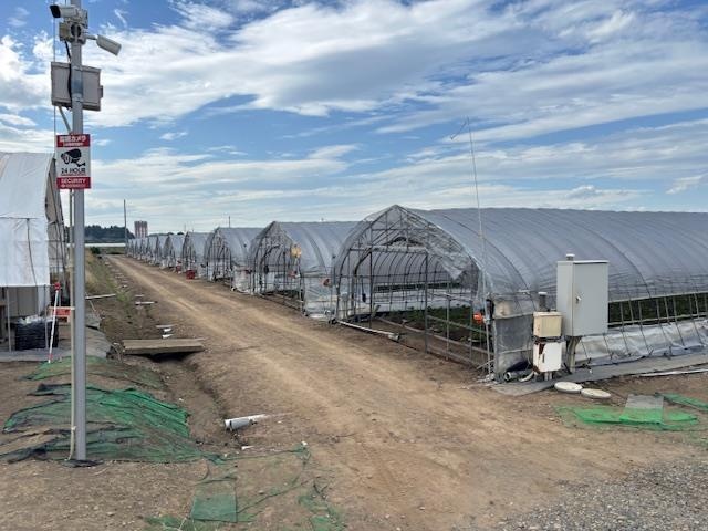 ビニールハウス