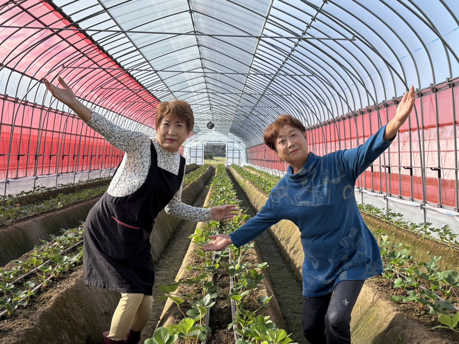 いちご園スタッフさん