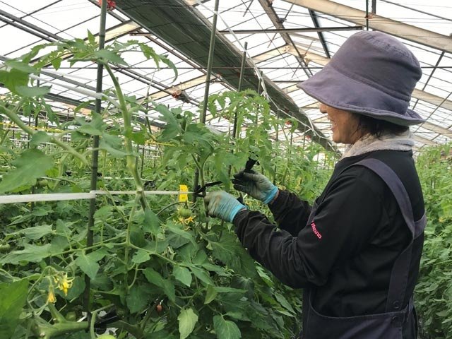栃木県 早朝 午前のみのアルバイト 派遣 転職 正社員求人 求人ジャーナル