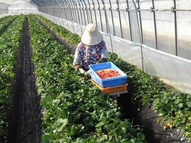 栃木県 短時間勤務 1日4時間以内 のアルバイト 派遣 転職 正社員求人 求人ジャーナル