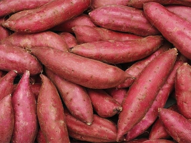 JAうつのみや（無料職業紹介所）の求人情報を見る