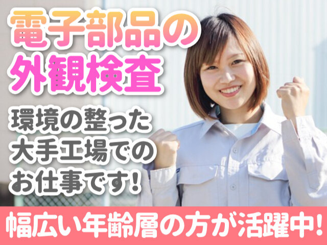 写真1