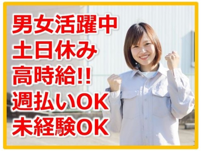 写真1