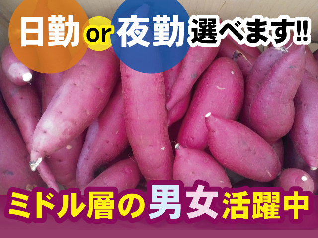 日勤or夜勤選べます！！ ミドル層の男女活躍中