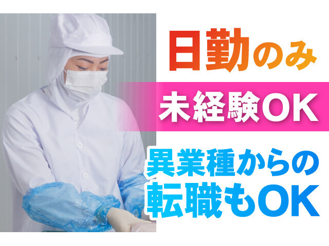写真1
