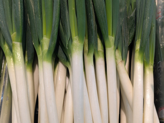 長ネギ