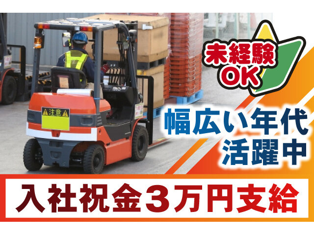 写真1