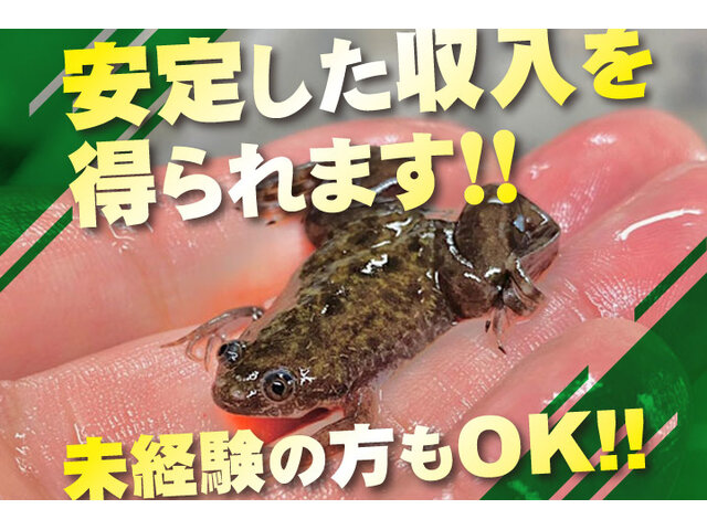 写真1