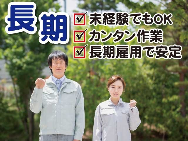 写真1