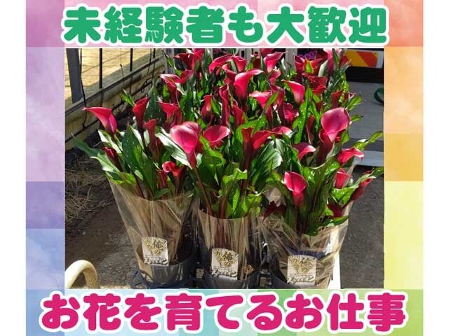 新花園の求人情報を見る