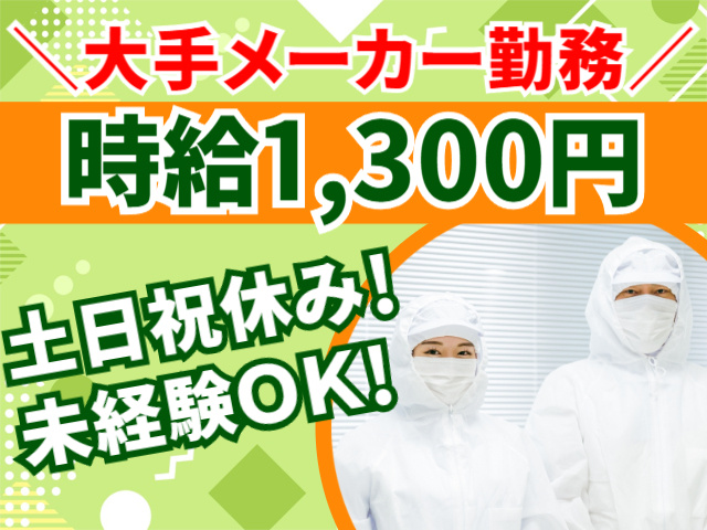 大手メーカー勤務