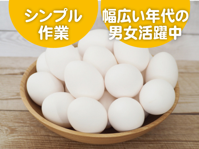 シンプル作業！幅広い年代の男女活躍中