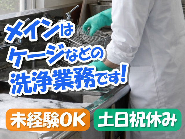 写真1