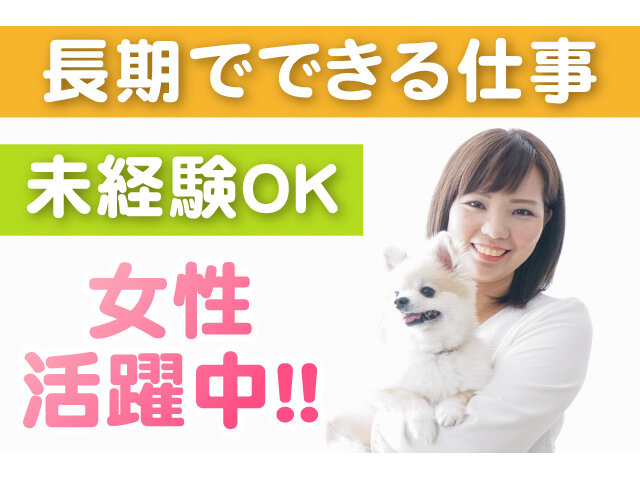 写真1