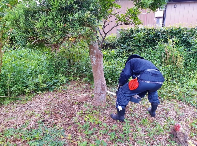 造園作業中の男性