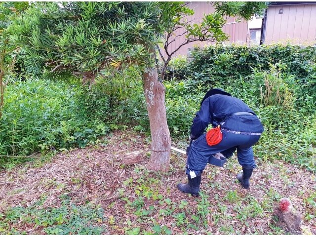 写真1