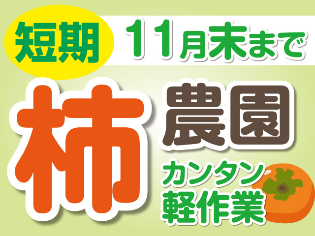 柿農園