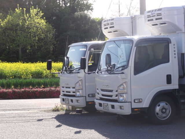 中型2tトラックドライバーの募集内容 埼玉県さいたま市北区 波平総業株式会社 大宮営業所の採用 求人情報