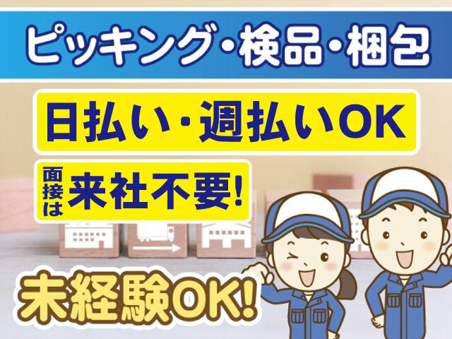 写真1