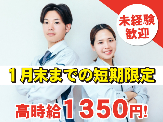 短期　軽作業