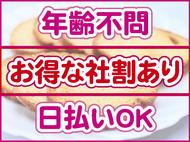 写真1